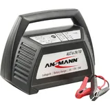 Ansmann ALCT 6-24/10