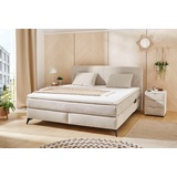 Jockenhöfer Gruppe Boxspringbett »Kira in den Breiten 160x200 & 180x200cm«, inkl. LED-Bel., USB-Ladeports, 7-Zonen-Matr., Topper, div. Härtegrade, grau
