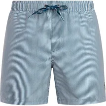 Protest Badeshorts PRTMarama Blau XL