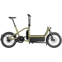 Riese & Müller Carrie City T ONE SIZE anise