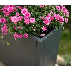 Tchibo Talus XL 100 x 25 x 77 cm Anthrazit