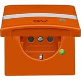 Busch-Jaeger Allwetter 44 SCHUKO Steckdosen-Einsatz mit LED Kontrolllicht, orange (20 EUGKBLN-14-101)