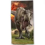 Jerry Fabrics Jurassic World Badetuch Handtuch Strandtuch 70 x 140cm