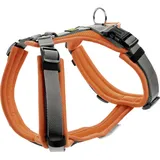 Hunter Maldon Up Hundegeschirr Orange/Grau XS-S