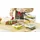 Rotho Kühlschrankorganizer Set 29,2 x 28,4 x 17 cm 5-tlg. transparent