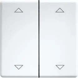 ELTAKO Doppelwippe lasergraviert DW-FT55-wg+2P