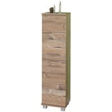 Schildmeyer Highboard Isola Holzoptik Silberfichte