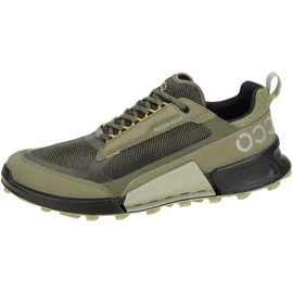 ECCO BIOM 2.1 X Mountain