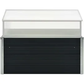 vidaXL Gewächshaus 100 x 100 x 77 cm Anthrazit