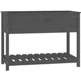 vidaXL Pflanzkübel mit Ablage 111,5 x 54 x 81 cm Grau