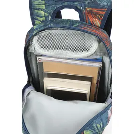 Nitro Chase tropical