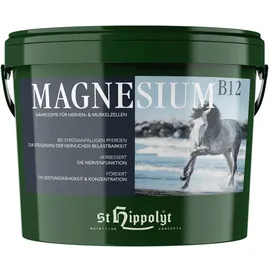 St. Hippolyt Magnesium B12 2,5 kg
