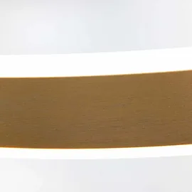 Steinhauer Hängelampe Pendelleuchte Esszimmerlampe LED dimmbar gold Ring-Design Küche