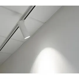 Brumberg Leuchten LED-Schienenstrahler 930, weiß 88397173
