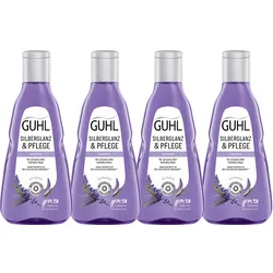GUHL Shampoo Silberglanz&Pflege 4er-Pack