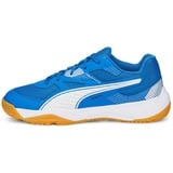 Puma Solarflash Jr II puma royal/PUMA white/gum