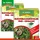 schopf dr. stähler Dr. Stähler Buchsbaumzünslerfrei Organic 50 ml