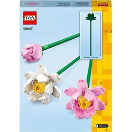 LEGO Botanicals Lotusblumen 40647