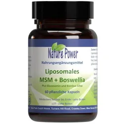 Liposomales MSM + Boswellia