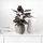 Villeroy & Boch Collier 18 cm taupe