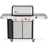SP-335W GBS Gasgrill 2025 Edelstahl