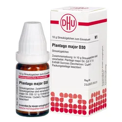 Plantago Major D30 Globuli