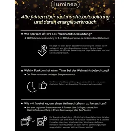 Kaemingk LED-Lichterkette 15 m schwarz warmweiß