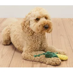 Tchibo - Hundespielzeug »Mais« - gelb