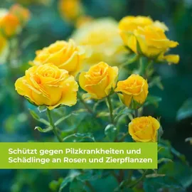 Protect Garden Curamat AZ Universal-Pilzfrei 1 Liter