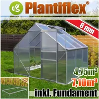 Aluminium Gewächshaus 11,58m3 mit Fundament 250x310cm Garten Pflanzenhaus Alu Treibhaus Tomatenhaus 7,75m2 - 6mm Verglasung - silber