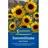 Kiepenkerl Sonnenblume Hohe Riesen Helianthus annuus