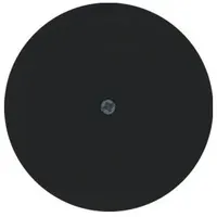 Berker Zentralstück sw/gl 10192045