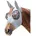Pony grau
