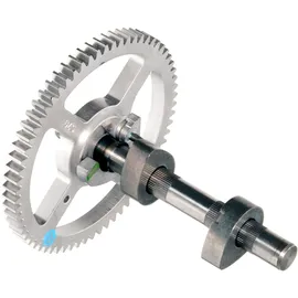 Briggs & Stratton Briggs - Nockenwelle, Chrom