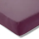 Estella Spannbettlaken für Topper Zwirnjersey 180 x 200 - 200 x 200 cm natur