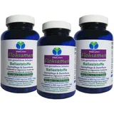 FLOHSAMEN Premium feine Flohsamenschalen INDIEN 360 (3x120) Psyllium Ballaststoff Kapseln. Diät + Darmflora + Verdauung + Sattmacher NATUR pur. 26610-3