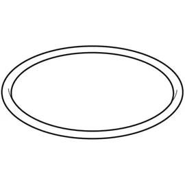 Geberit Pe Rundschnurring 367789001