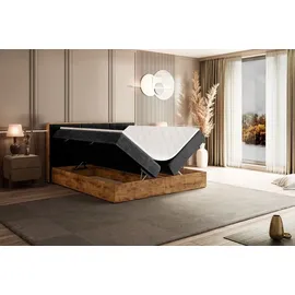 altdecor LOLLI1 140 x 200 cm H4 Schwarz