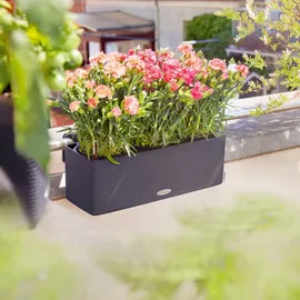 LECHUZA Cube Color Triple 40 x 13,5 cm Schiefergrau