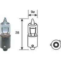 Magneti Marelli Glühlampe, 12V