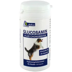 Glucosamin+Chondroitin Hunde 60 St