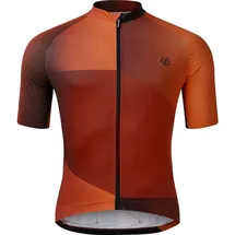 Dare 2b Dare2b Lgtngshortslve arabspgradpr (ZIC) XS