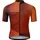 Dare 2b Dare2b Lgtngshortslve arabspgradpr (ZIC) XS
