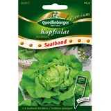 Quedlinburger Saatgut Quedlinburger Kopfsalat Attraktion Saatband