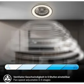 Briloner CCT Deckenventilator 48,5 cm Schwarz