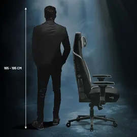 Diablo Chairs X.Eye Prime Gaming-Stuhl Burned Black PC