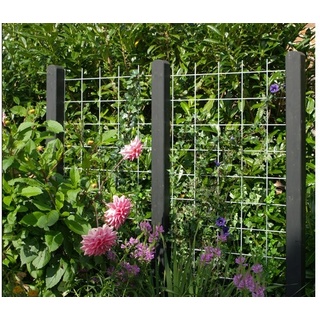 Rankgitter Blavand als Rankhilfe aus rostigem Stahl zur Verwendung als Blumenspalier für Pflanzen in Größe 90 x 180 cm