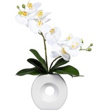 creativ-green Kunstpflanze Phalaenopsis in Keramikvase, ca. 35 cm weiß | Weiß