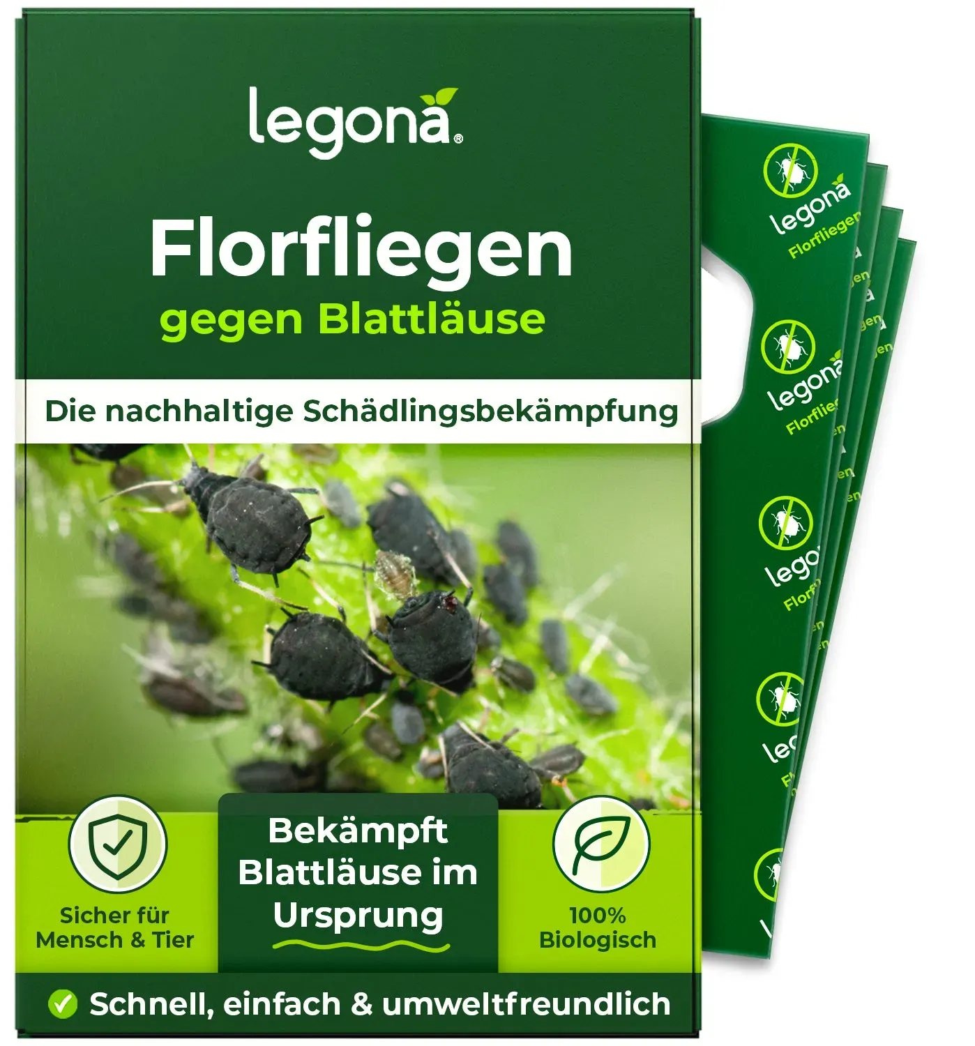 Florfliegenlarven gegen Blattläuse und Thripse Karten (5 Stück à 50 Eier) - 20m2 / Präventivbehandlung (1-fach Lieferung)