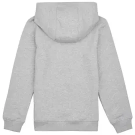 Tommy Hilfiger Kinder-Sweatshirt ESSENTIAL HOODIE in Grau, 6 Jahre